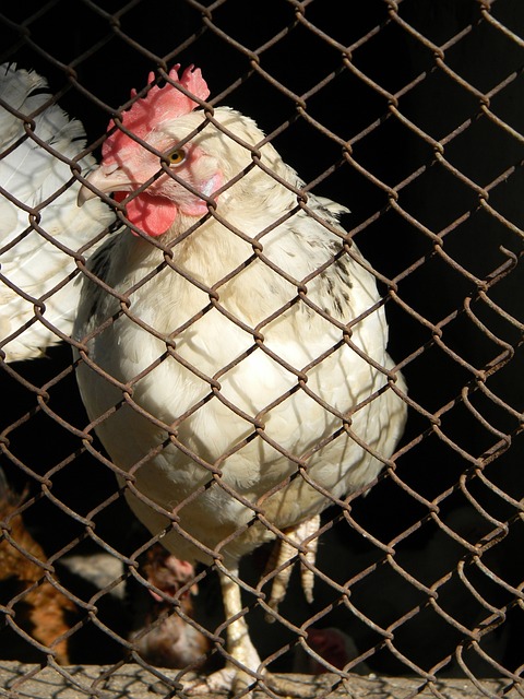 更加重视每 更加重视每