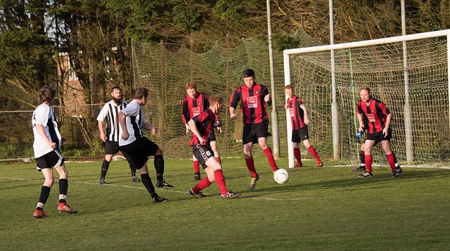 新的活力和 新的活力和