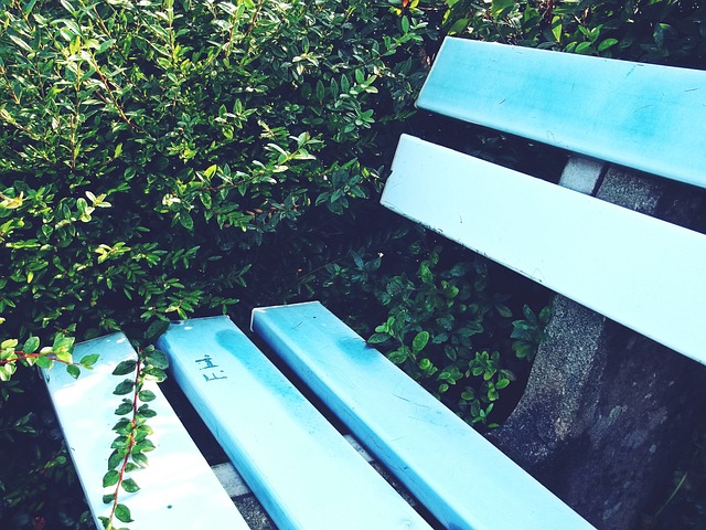 使这些孩子 使这些孩子