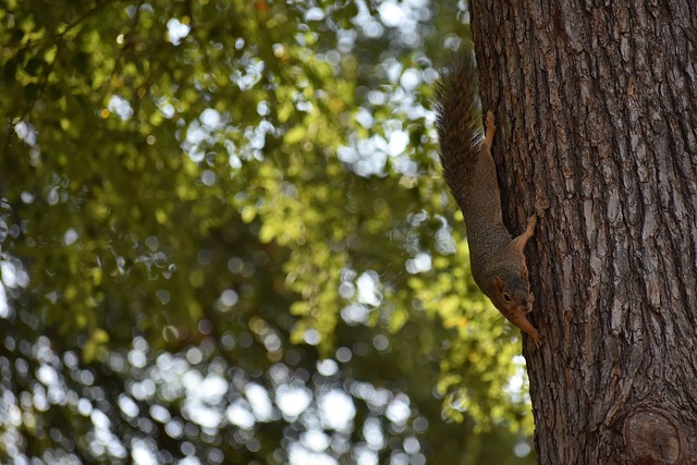 于控球的球 于控球的球