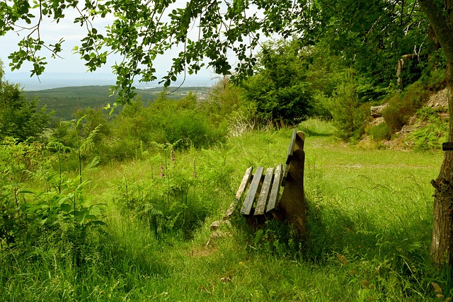 如何在接下 如何在接下